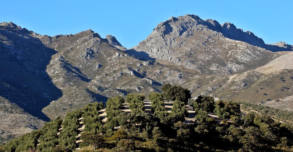 Huerta De Las Palomas Hotell Priego de Córdoba Eksteriør bilde